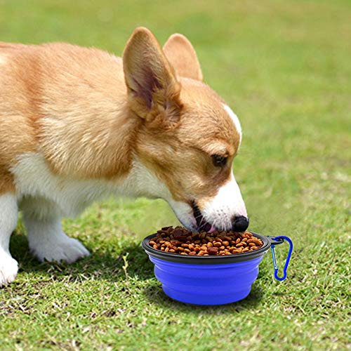 Dog Bowl, 2 Pack Collapsible Water Bowls for Cats, Portable Pet Feeding Watering Dish for Walking Parking Traveling with 2 Carabiners (Small, Blue+Green)