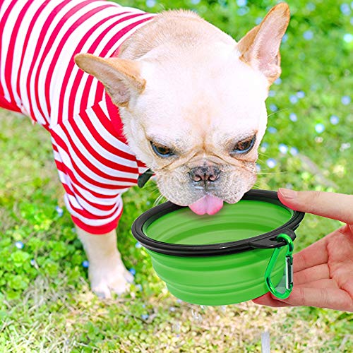 Dog Bowl, 2 Pack Collapsible Water Bowls for Cats, Portable Pet Feeding Watering Dish for Walking Parking Traveling with 2 Carabiners (Small, Blue+Green)