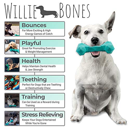 Willie Bones | Modern Dog Chew Toy | Almost Indestructible Dog Toys for Aggressive Chewers | Tough + Durable + Strong Natural Rubber Bone Toy for Small + Large Dogs + Puppy Teething | Boredom Chews