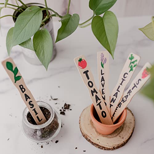 12 Inch Paint Sticks, Box of 25 Hardwood Paint Stirrers, Wood Mixing Paddles for Epoxy or Resin, Garden or Library Markers by Woodpeckers