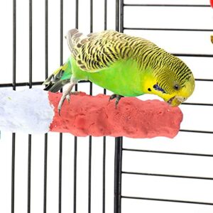 POPETPOP Bird Parrot Stand Perches, Cuttlebone Calcium Perch Standing Pole Bird Perch, Bird Toys for Parrots - Bird Cage Accessories