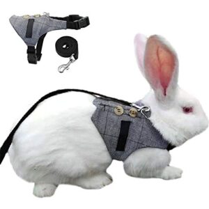 cute rabbit harness and leash for walking，no pull adjustable formal suit style plaid stripe harness for rabbit kitten chinchilla, squirrel, marten & mink small animal（2 pcs） (m)