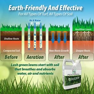 Penterra Soil Penetrant and Wetting Agent – Promotes Water Movement and Root Absorption to Deter Erosion and Improve Nutrient Uptake for Hardier Landscaping and Water Conservation