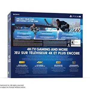 Sony PlayStation 4 1TB Pro Console - NHL 20 Bundle Edition - PlayStation 4