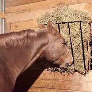 Country Manufacturing Wall Mount Hay Rack for Horse Stalls. Package of 2