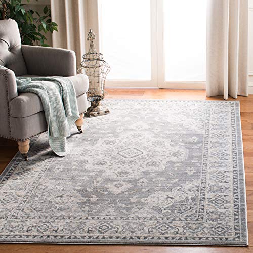 SAFAVIEH Isabella Collection 8' x 10' Grey / Light Grey ISA921F Oriental Non-Shedding Living Room Bedroom Dining Home Office Area Rug