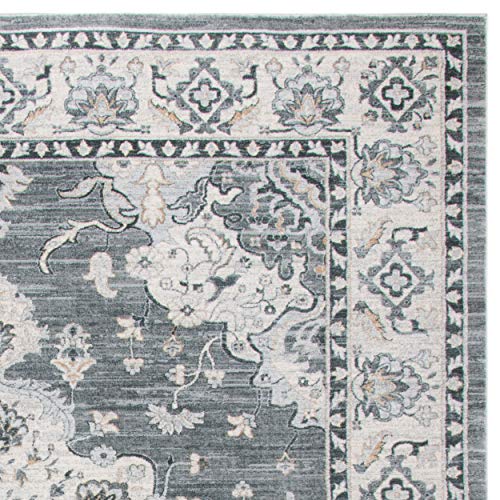 SAFAVIEH Isabella Collection 8' x 10' Grey / Light Grey ISA921F Oriental Non-Shedding Living Room Bedroom Dining Home Office Area Rug