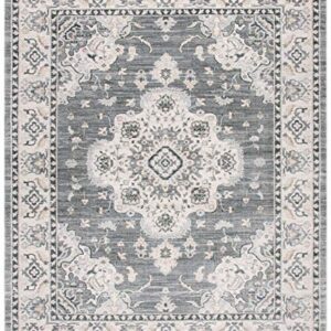 SAFAVIEH Isabella Collection 8' x 10' Grey / Light Grey ISA921F Oriental Non-Shedding Living Room Bedroom Dining Home Office Area Rug