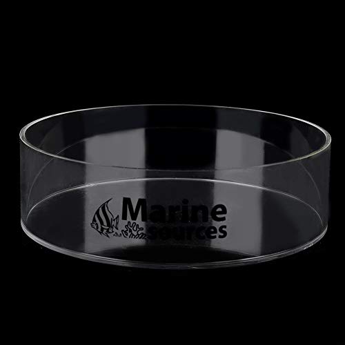 Coral Viewer Fish Tank Acrylic Coral Observe Lense Aquarium Fish Photograph Cylinder Magnifier for Viewing Coral and Taking Pictures 150mm