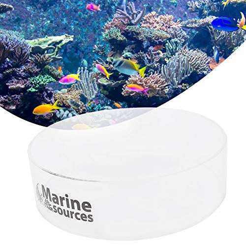 Coral Viewer Fish Tank Acrylic Coral Observe Lense Aquarium Fish Photograph Cylinder Magnifier for Viewing Coral and Taking Pictures 150mm