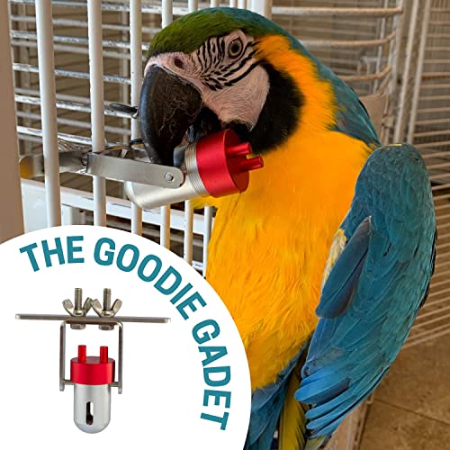 Busy Bird | Goodie Gadget Foraging Bird Toy - Spins on Axis with Peek-A-Boo Window - 100% Metal, Ultimate Brain Teaser and Mind Game for Medium to Extra Large Birds