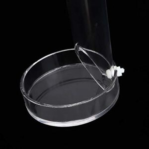 Fish Shrimp Feeder Tube and Plate Acrylic Clear Shrimp Feeding Tube Aquarium Fish Tank Feeder for Crystal Shrimp Tropical Fish(32cm)