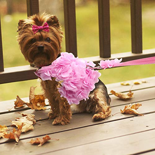 POPETPOP Dog Leash and Harness for Girls,Cute Dog Flower Harness Waking Vest Harness and Pet Leash for Halloween Wedding Cat Puppy Girl-Size XL