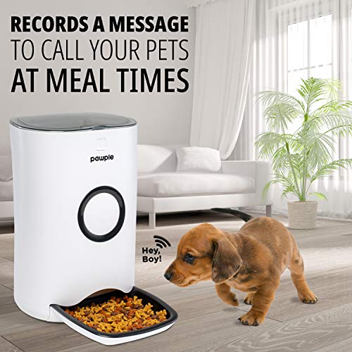 Pawple Automatic Pet Feeder Food Dispenser for Cats, Dogs, Small Animals - Features Distribution Alarms, Portion Control & Voice Recording -Programmable Timer Up to 4 Meals a Day