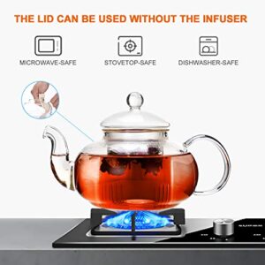 CnGlass 33.8oz Glass Teapot with Removable Infuser,Stovetop Safe Tea Kettle,Blooming & Loose Leaf Tea Pot