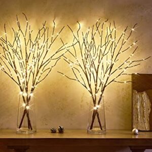 LITBLOOM Lighted Brown Willow Branches 30IN 150 LED Plug in with Timer and Dimmer Tree Branch Lights with Warm White Lights for Holiday Christmas Home Decoration