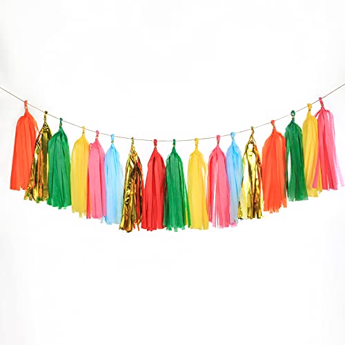 Autupy 35 PCS Taco Bout a Party Tassel Garland Tissue Paper Tassels Banner DIY Kit Baby Shower Party Taco Tuesday Fiesta Party Bachelorette Llama Party Decorations