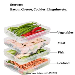 TIAN CHEN Refrigerator Organizer Bin, Plastic Food Storage Containers with Lid, 3-Layer, BPA free, Stackable Food Organizer Keeper for Snack, Vegetables, Meat, Fish, Bacon(green)