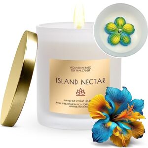 highly scented candle with island nectar aroma | natural clean-burn eco-friendly soy wax | handmade in usa in big glass jar and giftable box | burn up to 80 hours | gift for her