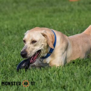 Monster K9 Dog Toys - Ultra Durable Chew Football - Lifetime Replacement Guarantee