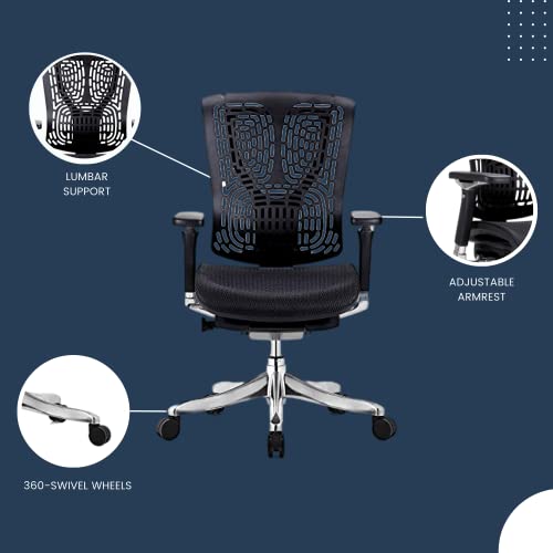 GM Seating Ergobilt High-Back Ergonomic Office Chair - Large Mesh Chair with Lumbar Support & Adjustable Armrest - Swivel Computer Desk Chair with Height Adjustable backrest - Aluminum Base – Black