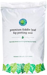 premium fiddle leaf fig tree potting soil - perfect for indoor plants
