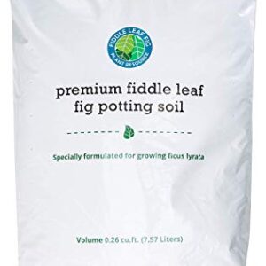 Premium Fiddle Leaf Fig Tree Potting Soil - Perfect for Indoor Plants