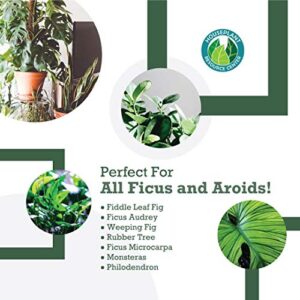 Premium Fiddle Leaf Fig Tree Potting Soil - Perfect for Indoor Plants