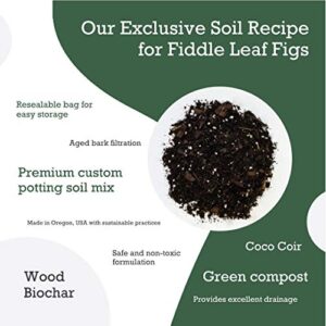 Premium Fiddle Leaf Fig Tree Potting Soil - Perfect for Indoor Plants