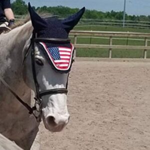 American USA Flag Horse Bonnet with Ears NET Fly Veil MASK Hood Crochet Cotton Hand Made Breathable Full Size Stretchable Ears Equestrians TACK Shows (Full/Horse)