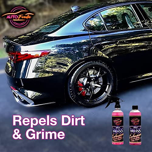 AUTO FANATIC 007 Car Gloss Enhancer Ceramic - Water Beading Hydrophobic Spray Infused with SiO2 For Maximum Gloss & Shine - Quick Detailer Spray For Ceramic Car Coating & Professional Car Detailing That Repels Dirt & Road Grime (16 oz Spray)