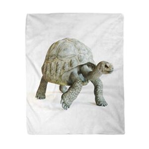 rouihot 50x60 inches flannel throw blanket colorful giant large tortoise walking on 3d rendering turtle home decorative warm cozy soft blanket for couch sofa bed