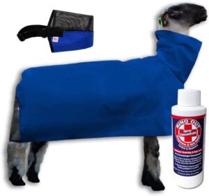 show pro blue nylon sheep blanket with mesh butt for show sheep & lamb - livestock supplies for sheep cover. free ring out concentrate for proven ringworm & fungus prevention included (medium)