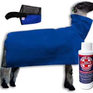 Show Pro Blue Nylon Sheep Blanket with Mesh Butt for Show Sheep & Lamb - Livestock Supplies for Sheep Cover. Free Ring Out Concentrate for Proven Ringworm & Fungus Prevention Included (Medium)