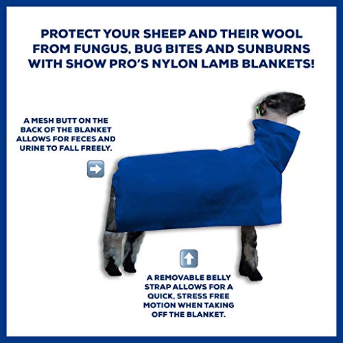 Show Pro Blue Nylon Sheep Blanket with Mesh Butt for Show Sheep & Lamb - Livestock Supplies for Sheep Cover. Free Ring Out Concentrate for Proven Ringworm & Fungus Prevention Included (Medium)