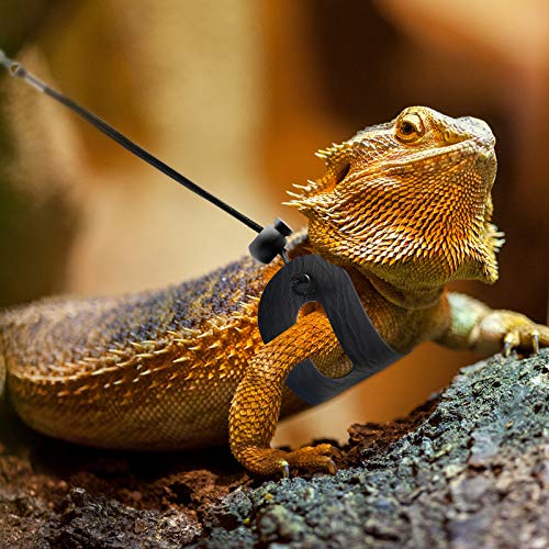 BWOGUE Bearded Dragon Harness and Leash Adjustable Leather Lizard Reptiles Harness Leash for Amphibians and Other Small Pet Animals (S,M,L,3 Pack)