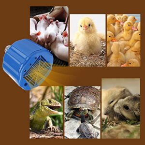 100-300W Heating Lamp,ASHATA Safe Chicken Coop Pet Heater Livestock Heat Lamp Tool,Cultivation Heating Lamp for Pet Chicken Livestock Heat Lamp Tool