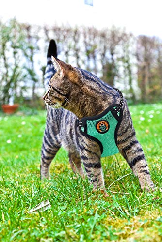 AWOOF Reflective Kitten Harness and Leash Escape Proof with Car Seat Belt, Adjustable Cat Puppy Walking Jacket with Metal Leash Ring, Soft Breathable Small Pet Vest (S)