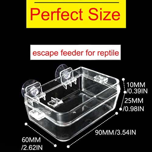 Tfwadmx 2 Pcs Chameleon Bowl, Reptile Feeding Food, Water Dish Gecko Worm Feeder Anti-Escape Chameleon Supplies Accessories for Lizard Bearded Dragon Snakes