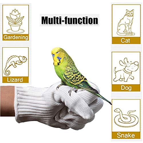 Bonaweite 1 Pair Bird Training Anti-Bite Gloves, Pet Parrot Chewing Protective Handling Gloves for Conures Cockatiels Parrotlets Finch Macaw African Budgies Parakeet Agapornis Fischeri