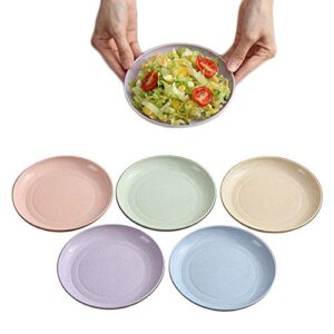 5.9 inch wheat straw appetizer dinner plates, small serving cake dessert plates, salad plates, charcuterie accessories, dipping sauce plate, assorted colors dinnerware set of 5, dishwasher safe