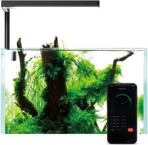 onf flat nano+ 20-inch app remote control freshwater led aquarium light, timer dimmable day & night cycle, 2-9 gallon rimless fish tank, terrarium light for potted plant and succulent ip54 waterproof