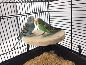 minorpet wood perch platform stand for small animals pet cage accessories bird parrot african grey parakeet conure cockatiel budgie gerbil rat mouse chinchilla hamster exercise toy