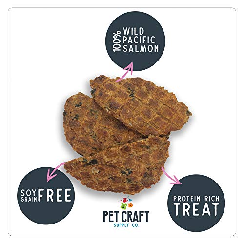 Pet Craft Supply Wild Caught Pure Dehydrated Pacific Salmon Packed with Salmon Oil Natural Dog Treats Alternative to Freeze Dried Healthy Dog Treats Small Dogs Treats for Medium Dogs and Cat Treats