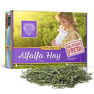 small pet select alfalfa hay pet food for young  rabbits, guinea pigs , chinchillas, tortoises and other small animals, easy to store box, 10 lb