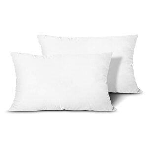 edow throw pillow inserts, set of 2 lightweight down alternative polyester pillow, couch cushion, sham stuffer, machine washable. (white, 12x20)