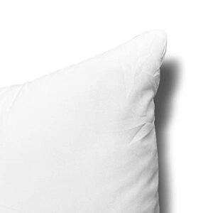 EDOW Throw Pillow Inserts, Set of 2 Lightweight Down Alternative Polyester Pillow, Couch Cushion, Sham Stuffer, Machine Washable. (White, 12x20)