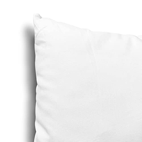 EDOW Throw Pillow Inserts, Set of 2 Lightweight Down Alternative Polyester Pillow, Couch Cushion, Sham Stuffer, Machine Washable. (White, 12x20)