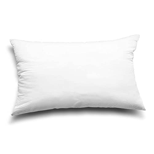 EDOW Throw Pillow Inserts, Set of 2 Lightweight Down Alternative Polyester Pillow, Couch Cushion, Sham Stuffer, Machine Washable. (White, 12x20)