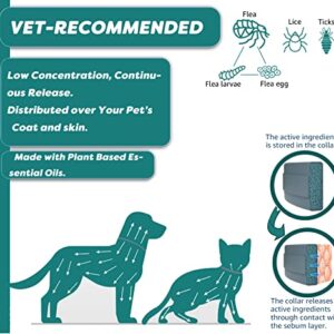 Natural Flea and Tick Collar for Small Dogs - Safe Prevention and Control of Pests on Puppies - Waterproof and Long-Lasting - Includes Free Comb and Tick Tweezer - 2-Pack, 13.8 Inches